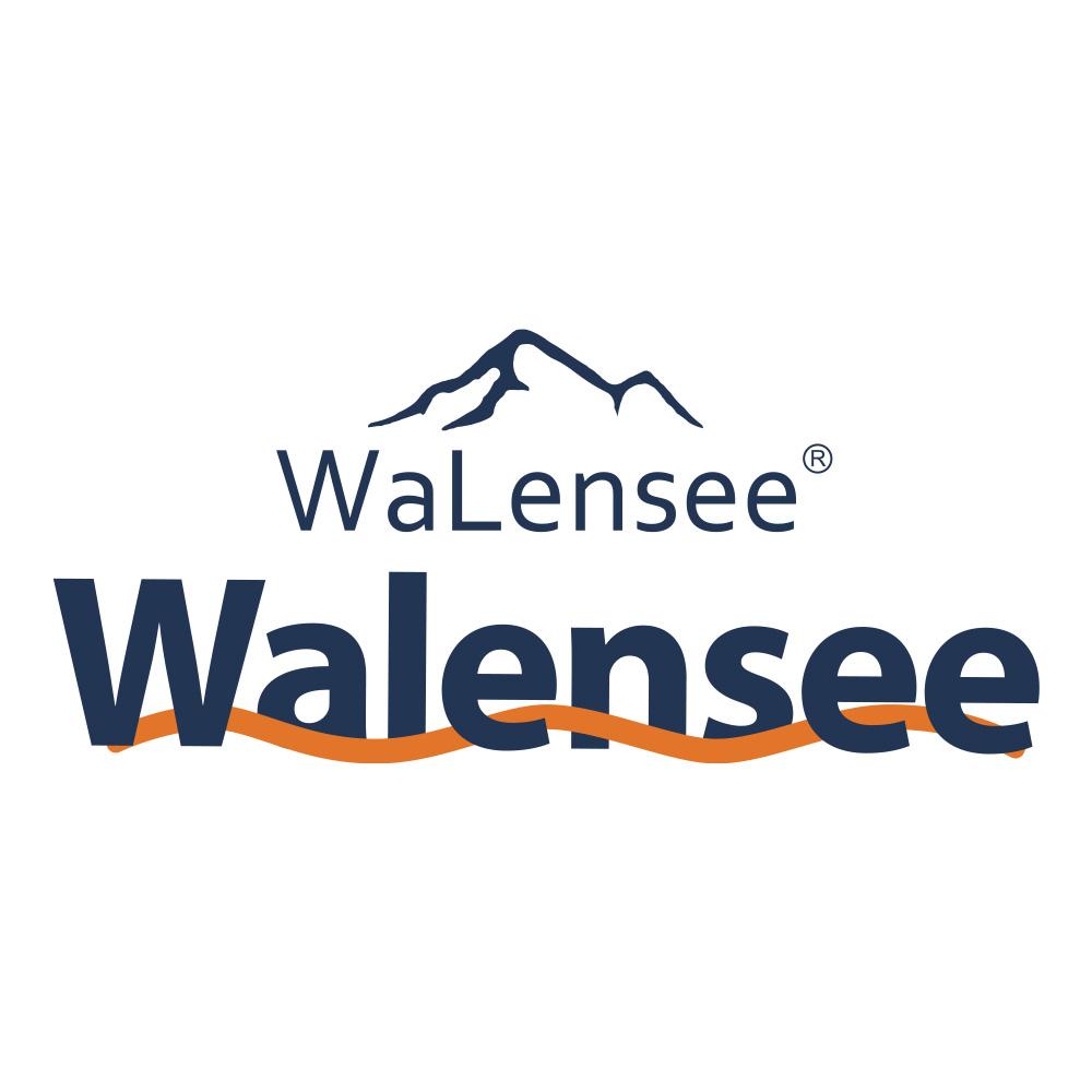 Walensee 20V Cordless Leaf Blower with 4.0Ah Lithium Battery & Fast Ch –  walenseecollections