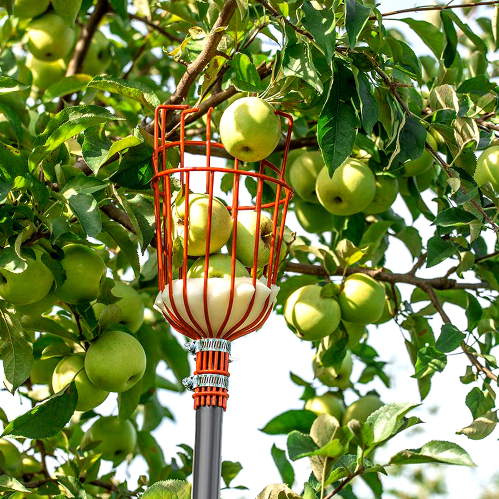 Walensee Fruit Picker, Adjustable Fruits Picker Tool with Lightweight Stainless Steel Pole